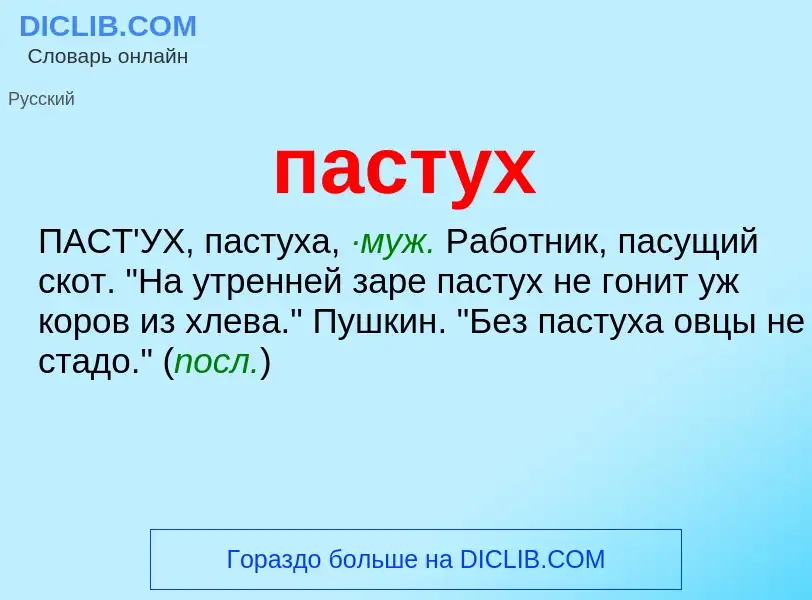 Wat is пастух - definition