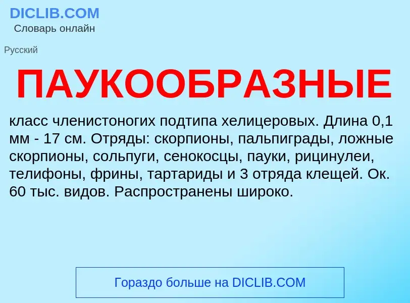 ¿Qué es ПАУКООБРАЗНЫЕ? - significado y definición