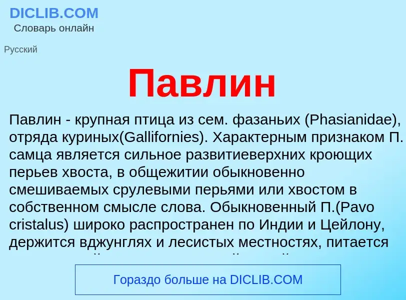 Wat is Павлин - definition