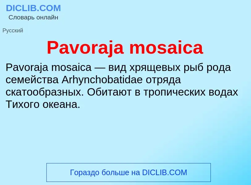 Что такое Pavoraja mosaica - определение