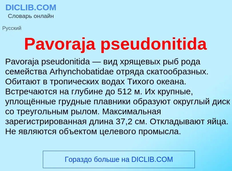 Что такое Pavoraja pseudonitida - определение