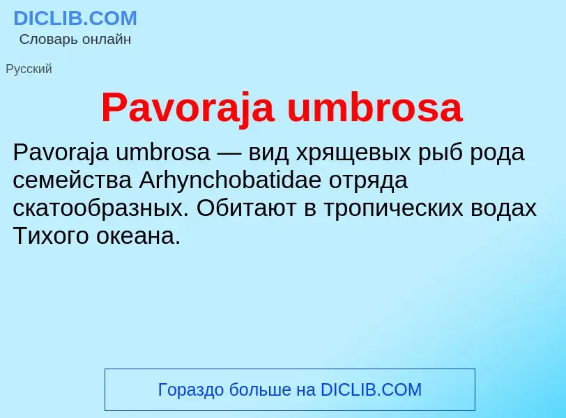 ¿Qué es Pavoraja umbrosa? - significado y definición