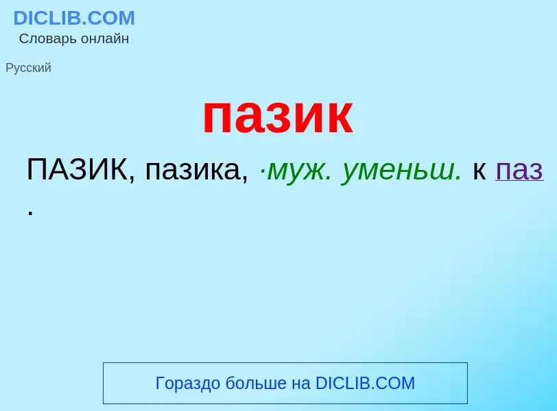 Wat is пазик - definition