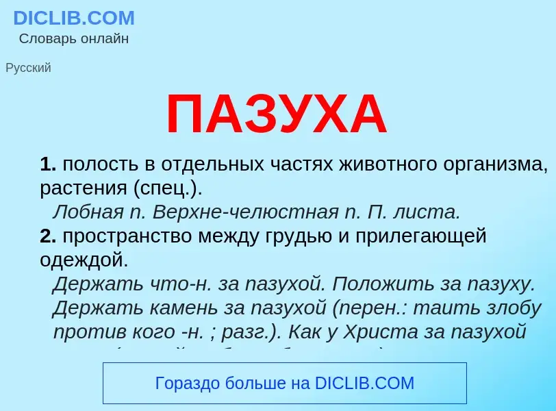O que é ПАЗУХА - definição, significado, conceito