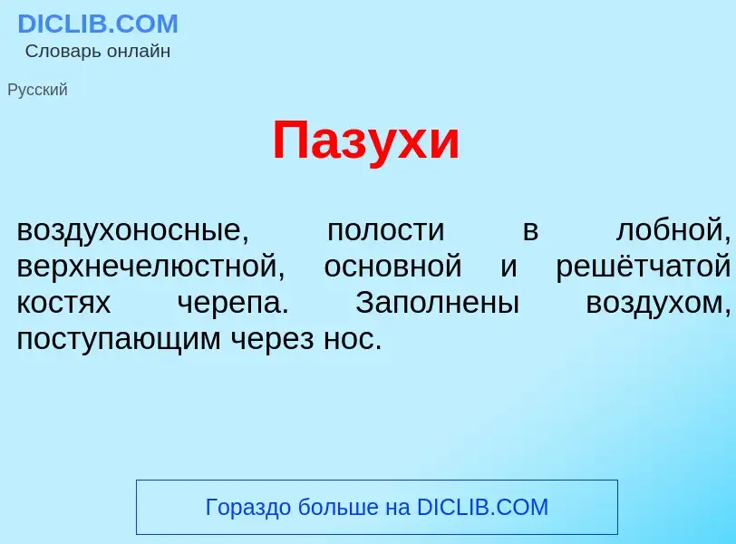 Что такое П<font color="red">а</font>зухи - определение