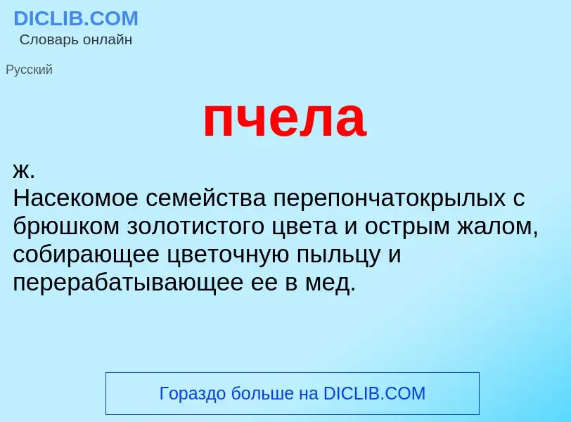 Wat is пчела - definition