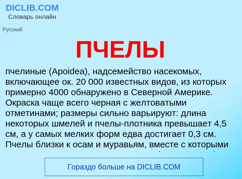 Что такое ПЧЕЛЫ - определение