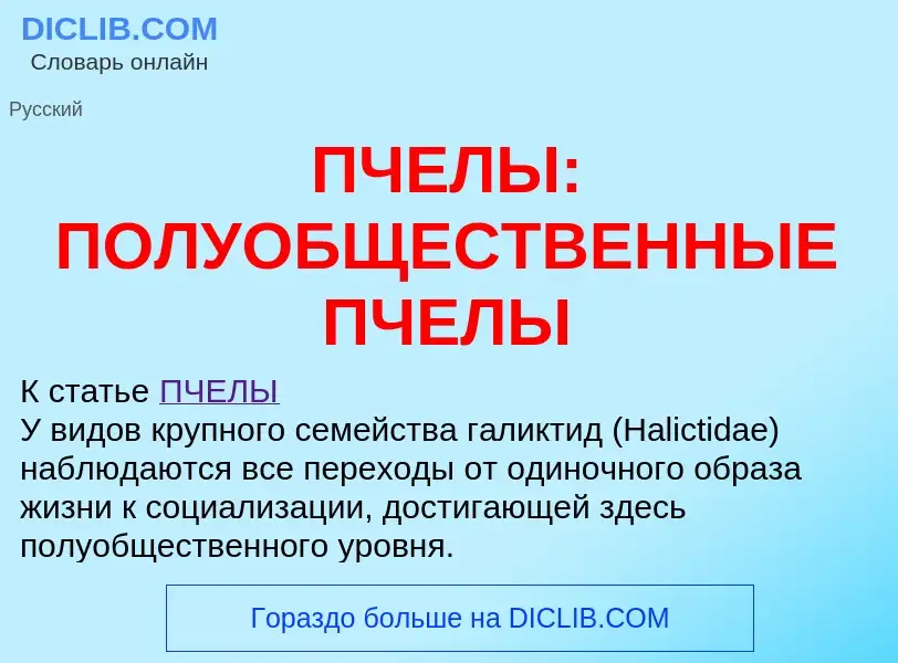 Что такое ПЧЕЛЫ: ПОЛУОБЩЕСТВЕННЫЕ ПЧЕЛЫ - определение