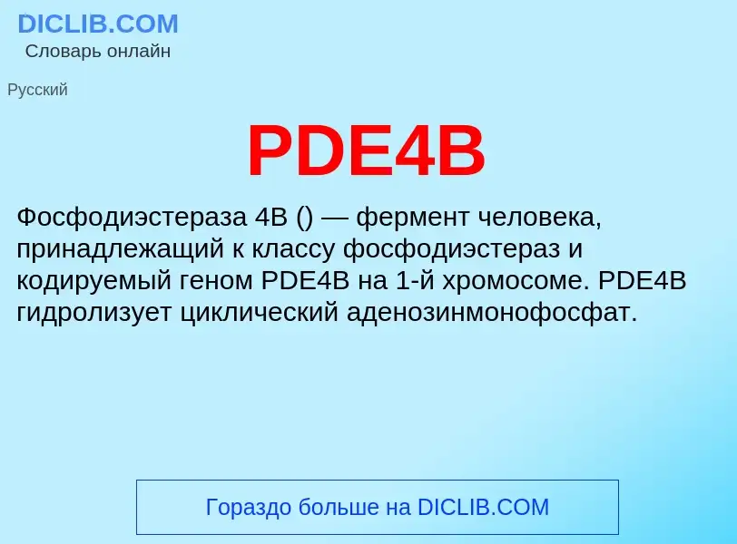 Что такое PDE4B - определение