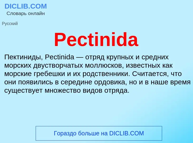 Wat is Pectinida - definition