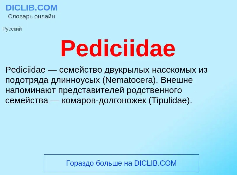 Wat is Pediciidae - definition