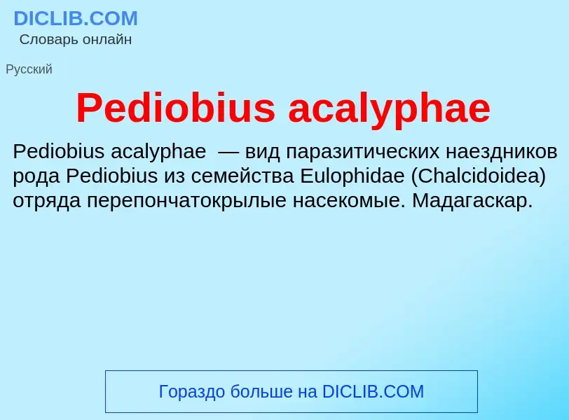 What is Pediobius acalyphae - definition