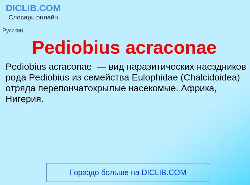 Wat is Pediobius acraconae - definition