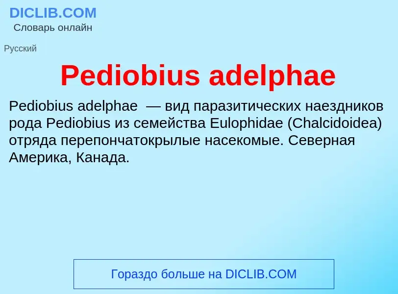 What is Pediobius adelphae - definition