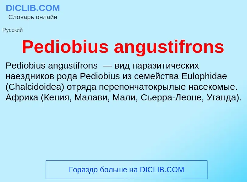 Wat is Pediobius angustifrons - definition