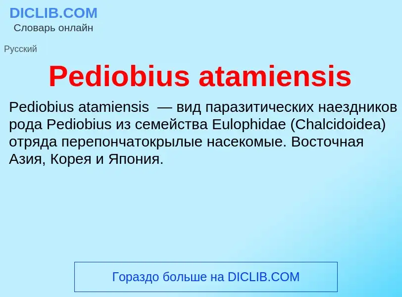 Wat is Pediobius atamiensis - definition