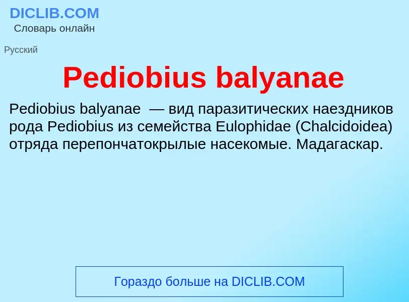 Wat is Pediobius balyanae - definition