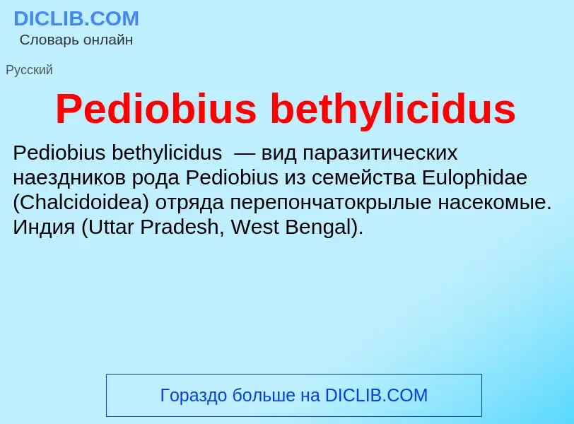 Wat is Pediobius bethylicidus - definition