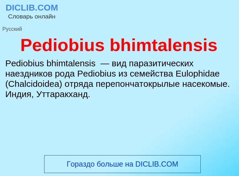 Wat is Pediobius bhimtalensis - definition