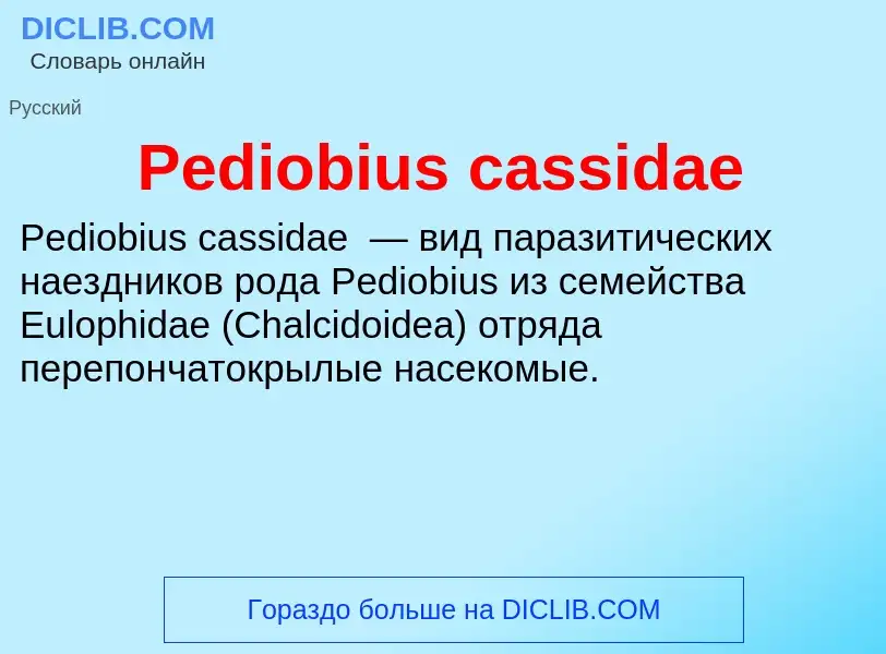 Wat is Pediobius cassidae - definition