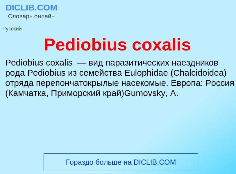 Wat is Pediobius coxalis - definition