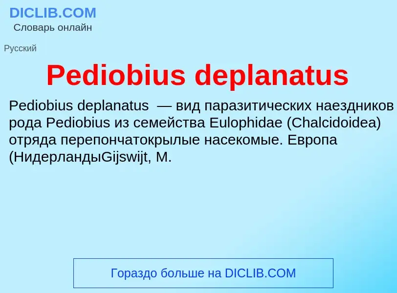 Wat is Pediobius deplanatus - definition