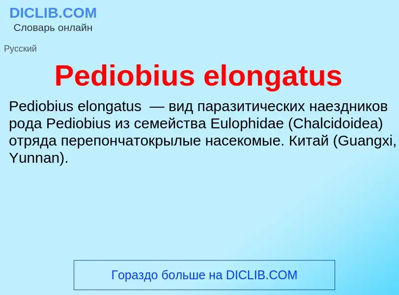 Wat is Pediobius elongatus - definition