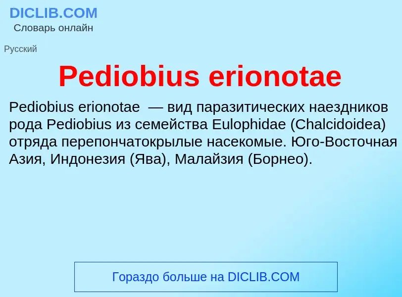 Wat is Pediobius erionotae - definition