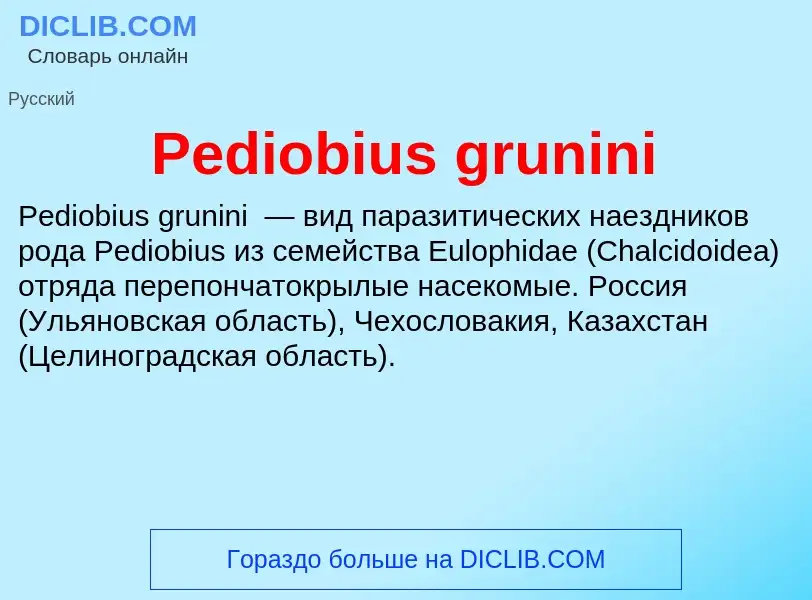 Wat is Pediobius grunini - definition