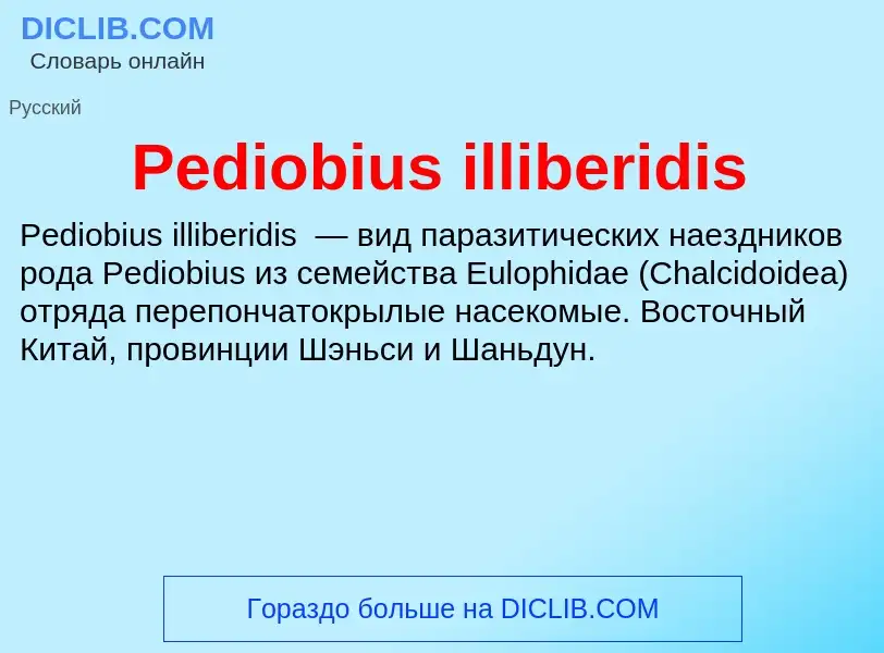 Wat is Pediobius illiberidis - definition