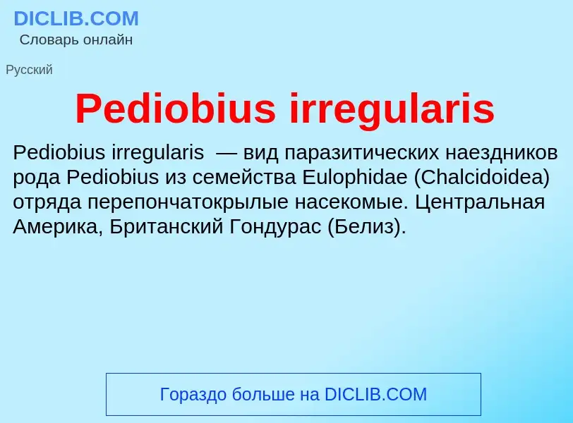 Wat is Pediobius irregularis - definition