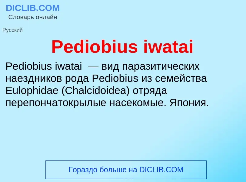 Wat is Pediobius iwatai - definition