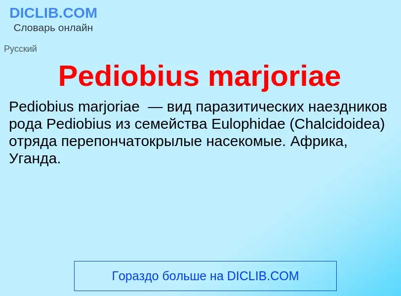 Wat is Pediobius marjoriae - definition