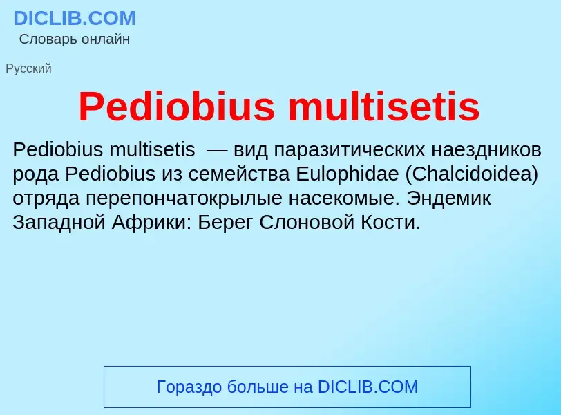 Wat is Pediobius multisetis - definition