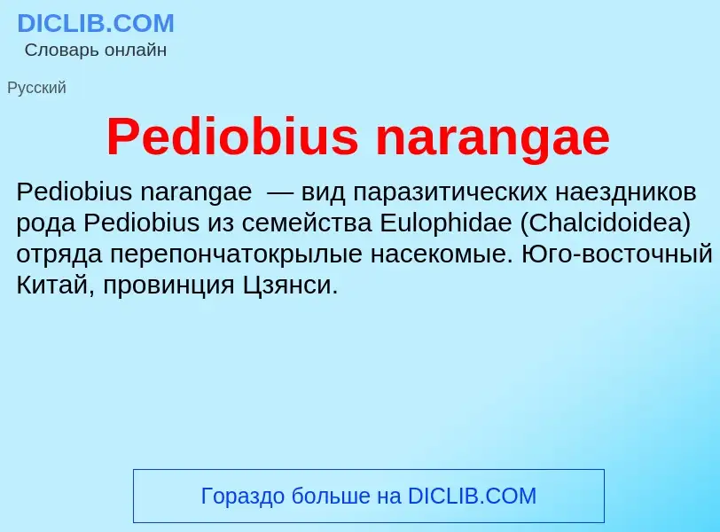 Wat is Pediobius narangae - definition