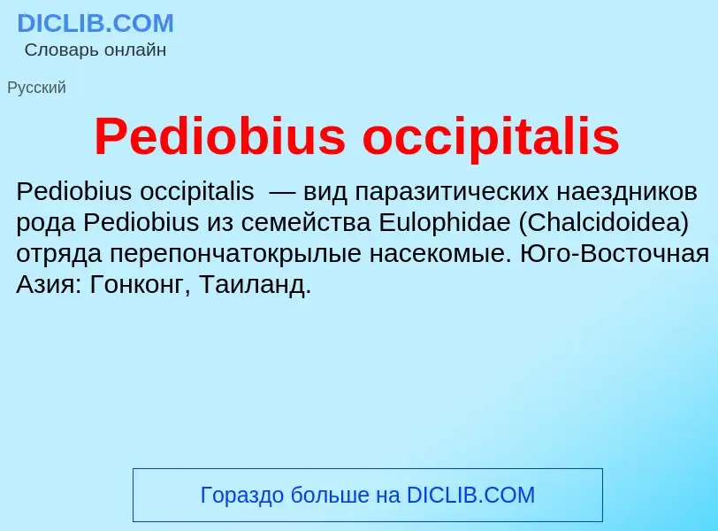 Wat is Pediobius occipitalis - definition