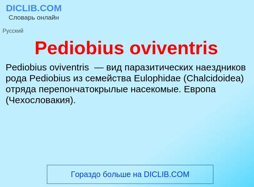 Wat is Pediobius oviventris - definition