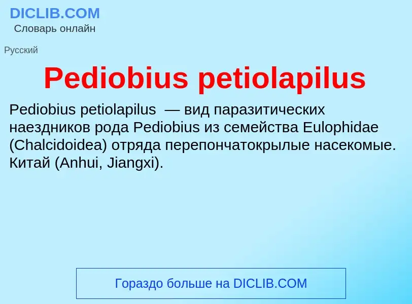 Wat is Pediobius petiolapilus - definition