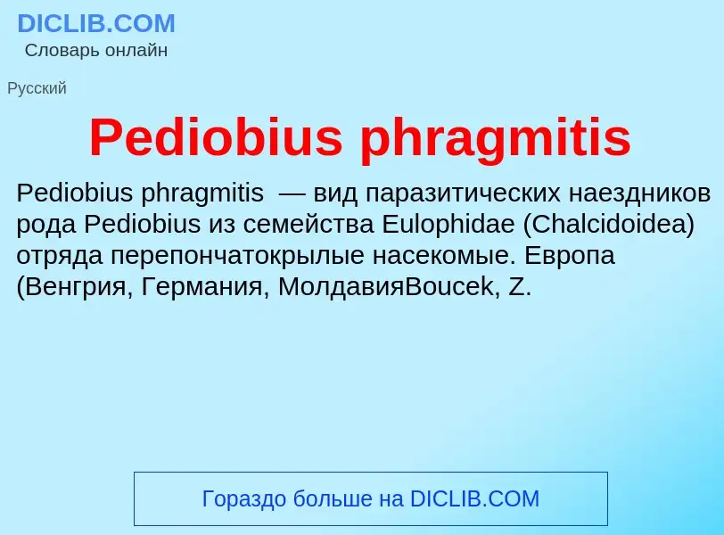 ¿Qué es Pediobius phragmitis? - significado y definición