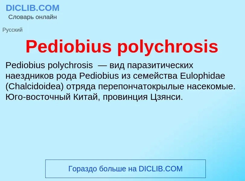 Wat is Pediobius polychrosis - definition