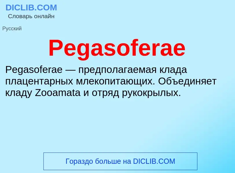 What is Pegasoferae - definition