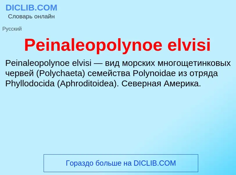 What is Peinaleopolynoe elvisi - definition