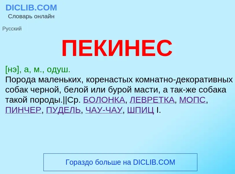 ¿Qué es ПЕКИНЕС? - significado y definición