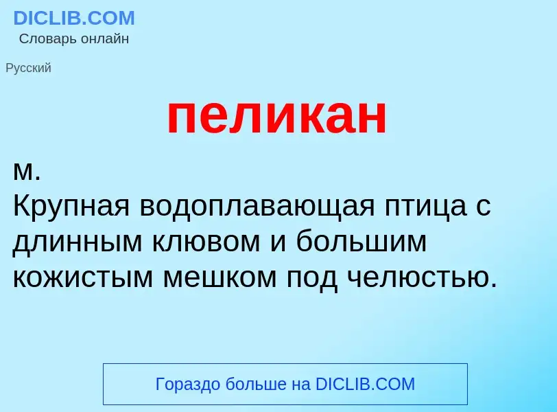 ¿Qué es пеликан? - significado y definición