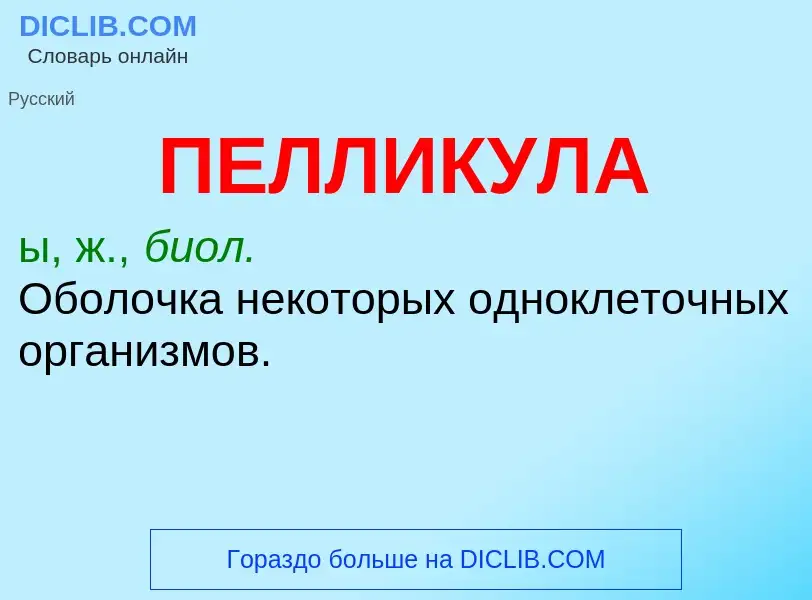 What is ПЕЛЛИКУЛА - definition