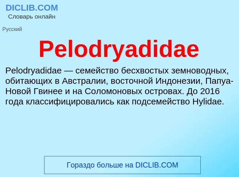 What is Pelodryadidae - definition