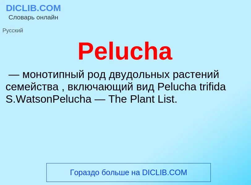 What is Pelucha - definition