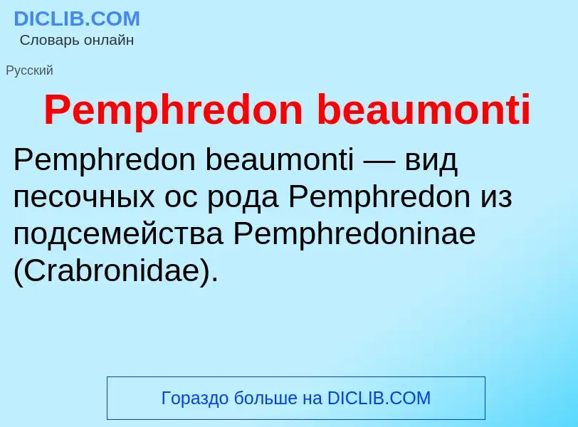 What is Pemphredon beaumonti - definition