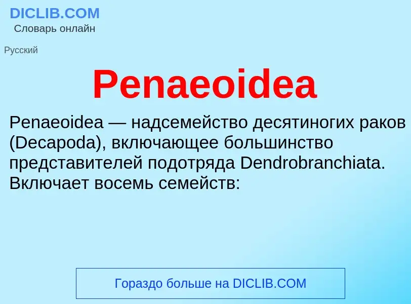 What is Penaeoidea - definition