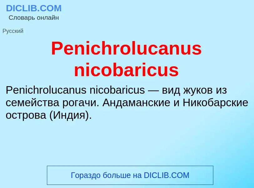 What is Penichrolucanus nicobaricus - definition